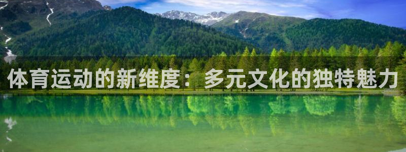 xc体育：体育运动的新维度：多元文化的独特魅力