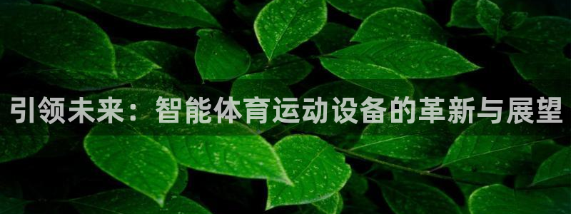 xc体育：引领未来：智能体育运动设备的革新与展望