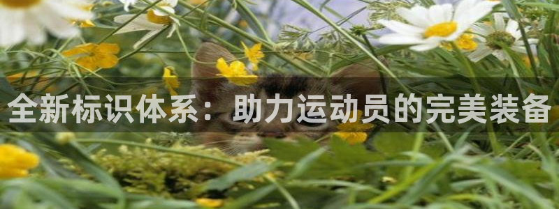 xc体育：全新标识体系：助力运动员的完美装备