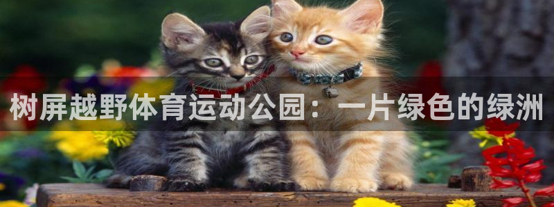 xc体育app官方网站：树屏越野体育运动公园：一片绿色的绿洲