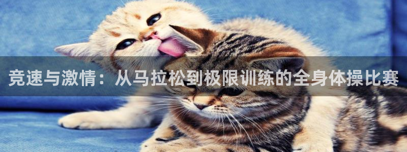 xc体育app官方网站：竞速与激情：从马拉松到极限训练的全身体操比赛