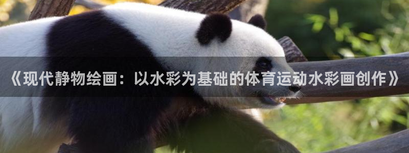 xc体育app官方网站：《现代静物绘画：以水彩为基础的体育运动水彩画创作》