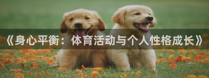 xc体育app官方网站：《身心平衡：体育活动与个人性格成长》